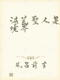 洪荒圣人是什么境界