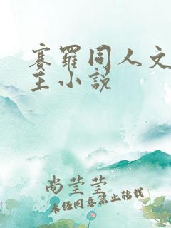 赛罗同人文双男主小说