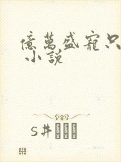 亿万盛宠只为你 小说