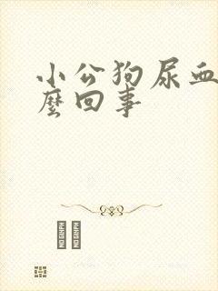 小公狗尿血是怎么回事