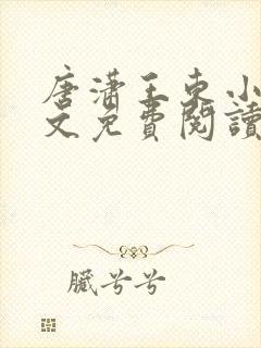 唐潇王东小说全文免费阅读