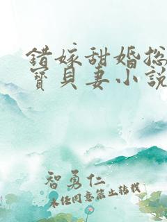 错嫁甜婚总裁的宝贝妻小说完整版