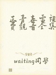 正青春电视剧免费观看全集西瓜