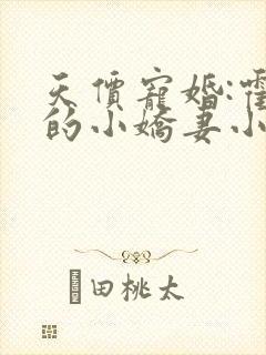 天价宠婚:霍总的小娇妻小说在线看