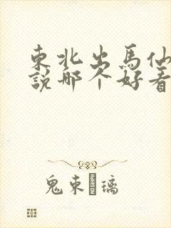 东北出马仙的小说哪个好看