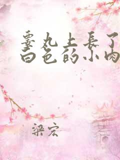 睾丸上长了一个白色的小肉球硬硬的