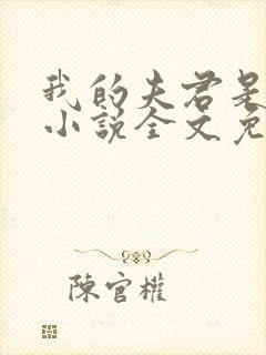 我的夫君是冥王小说全文免费阅读