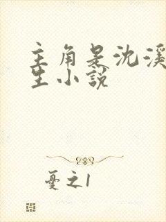 主角是沈溪的重生小说