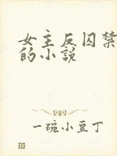 女主反囚禁男主的小说