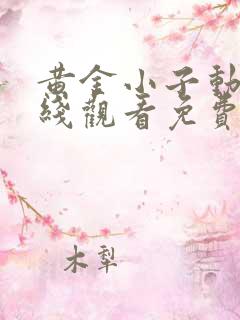 黄金小子动漫在线观看免费高清完整版