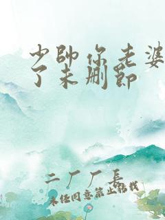 少帅你老婆又跑了未删节