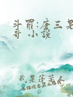 斗罗:唐三是我哥 小说