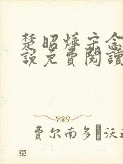 楚昭烨宋念安小说免费阅读最新章节