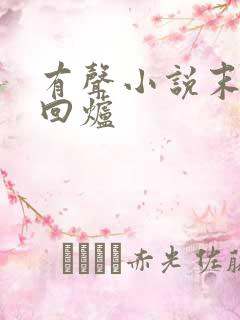 有声小说末世大回炉