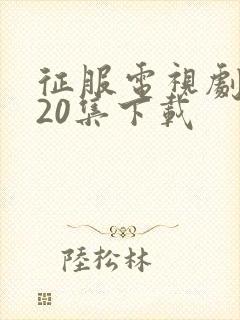 征服电视剧1至20集下载