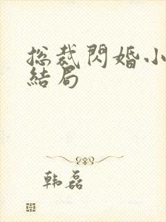 总裁闪婚小娇妻结局