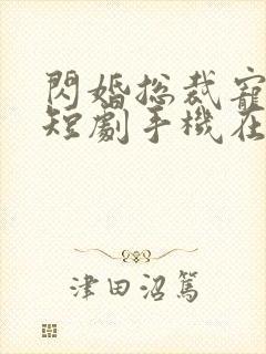 闪婚总裁宠上天短剧手机在线观看