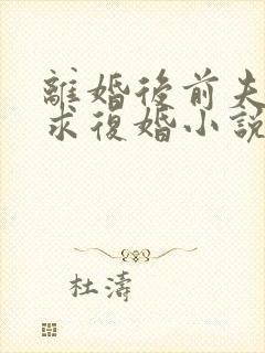 离婚后前夫哭着求复婚小说免费阅读全文