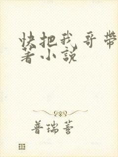 快把我哥带走原著小说
