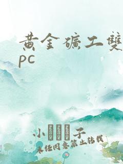 黄金矿工双人版pc