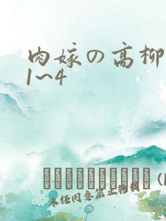 肉嫁の高柳动漫1~4