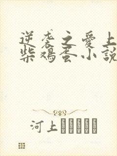 逆袭之爱上情敌柴鸡蛋小说离线下载