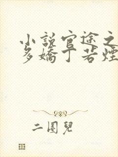 小说官途之红颜多娇丁若烟在线阅读