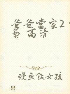 爸爸当家2 综艺 高清