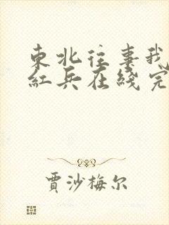 东北往事我叫赵红兵在线完整版免费观看