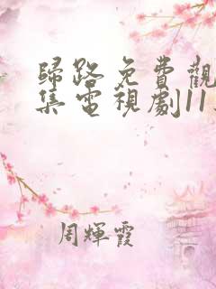 归路免费观看全集电视剧11集