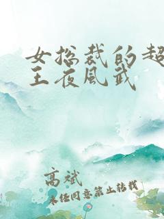 女总裁的超级兵王夜风武