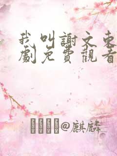 我叫谢文东电视剧免费观看