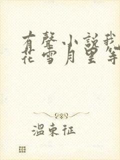 有声小说我在风花雪月里等你