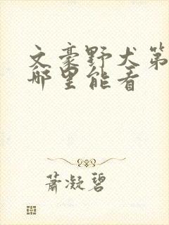 文豪野犬第二季哪里能看