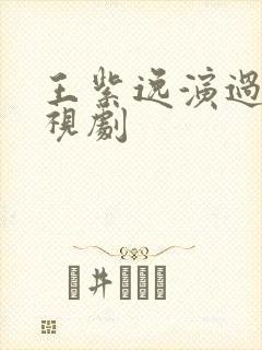 王紫逸演过的电视剧