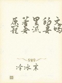 原著里的文炎敬宠妾灭妻吗