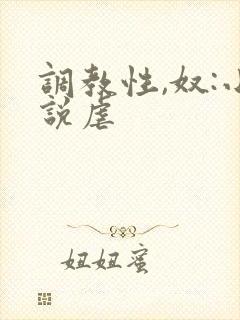 调教性,奴:小说虐