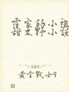 霍家的小祖宗又甜又野小说