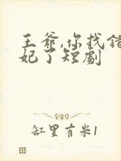 王爷,你找错王妃了短剧