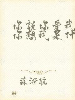 你说你爱我你说你想我是什么歌