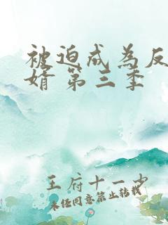 被迫成为反派赘婿 第三季