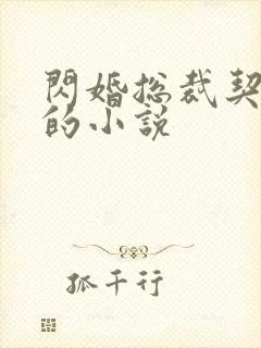 闪婚总裁契约妻的小说