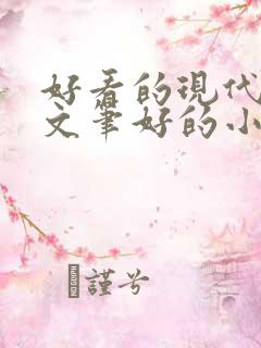 好看的现代言情文笔好的小说