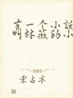 有一个小说女主叫林薇的小说