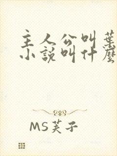 主人公叫叶辰的小说叫什么名字