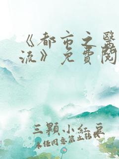《都市之医武风流》免费阅读全文