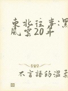 东北往事:黑道风云20年