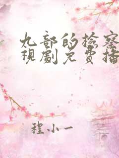 九部的检察官电视剧免费播放全集