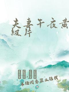 夫妻午夜黄色一级片