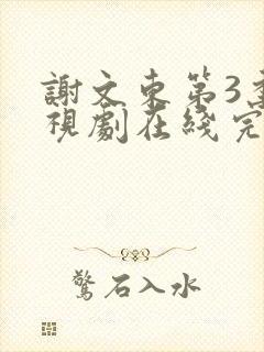 谢文东第3季电视剧在线完整免费